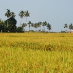 Hari 2 : Sawarna ( Laguna pari, Pantai Goa Langir )