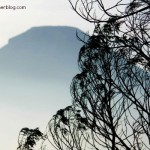Hari 2 : Liburan ke Dieng ( Sunrise Sikunir, Theater Dieng, Bukit Sikendil, Kawah Sikidang, Candi Arjuna )