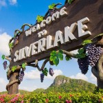 Hari 3 : Pattaya ( Laser Buddha, Silverlake, Alcazar Cabaret Show, Jomtien Hostel )