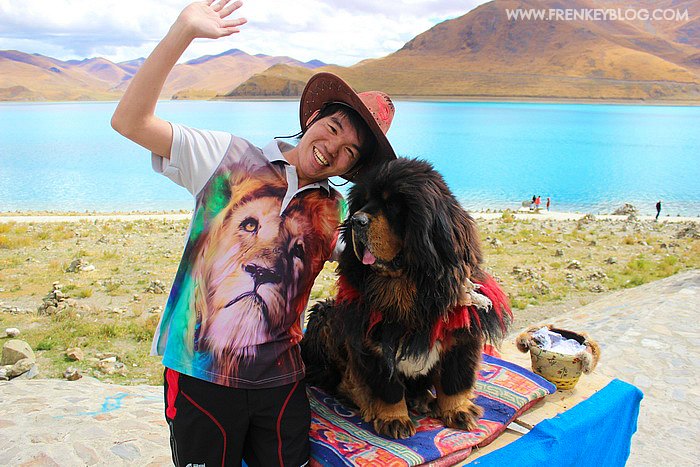 Hari 11 : Cantik nya Yamdrok Lake serta Lucu nya Tibetan Mastiff